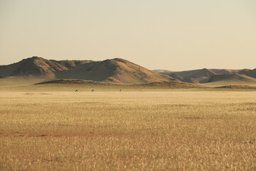 red desert sand plaine with bright green fresh grass growing, red mountain range in the background