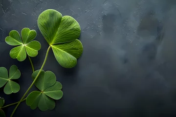 Foto op Plexiglas Four leaf clover on a dark background. St. Patrick's Day celebration, luck and fortune concept, copy space © Prasanth