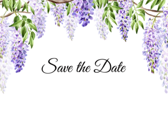 Wisteria flower, save the date invitation or greeting card.  Hand drawn watercolor,  illustration isolated on white  background