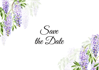 Wisteria flower, save the date card.  Hand drawn watercolor,  illustration isolated on white background