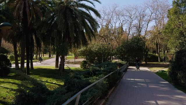 Walk through the green Turia Park in Valencia. A sunny warm day in mid-February in Spain. Cyclists ride towards each other in different directions. A popular place for active recreation.