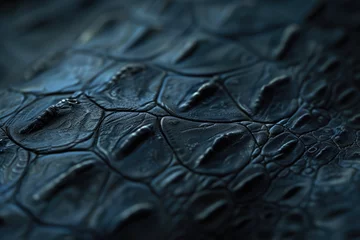 Fototapeten extreme macro shot of crocodile skin © Iryna