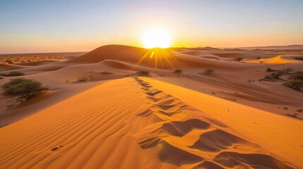 Fototapeta na wymiar Sahara desert panoramic banner at sunset with golden sand dunes and warm hues in the sky