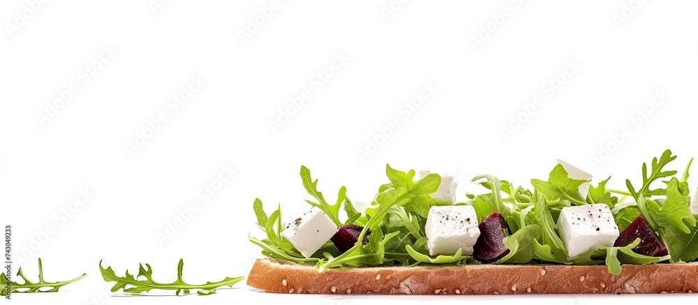 Leinwandbilder fresh green salad ruccola different lettuce cottage cheese or feta cheese beetroot and seasoning wit