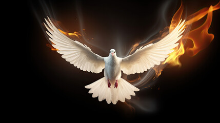 Flying white dove on fire. Isolated on dark background
