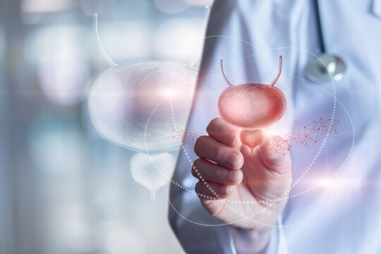 The concept of prostate diagnosis and treatment.