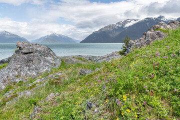 Fototapeta na wymiar Kelgaya Point in Chilkat State Park, Haines, Alaska, USA