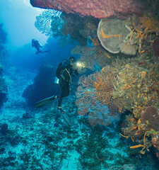 Naklejka na ściany i meble Scuba Diving Cozumel, Mexico and Pompano Beach, Florida