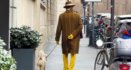 Street in the old downtown. An elegant man walking with cute dog .