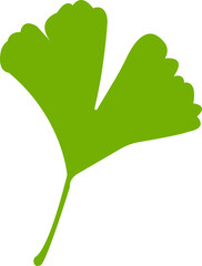Cartoon flat ginkgo biloba leaf silhouette icon isolated on transparent background. Nature eco green vector. Leaflet organic leaves cosmetics and medical plant icon
