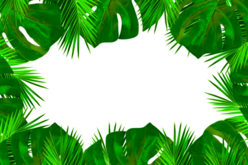 Tropical plants leaf frame border from green palm leaves, monstera leaf isolated on white background. Fresh summer leaves with copy space