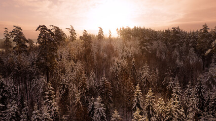 Aerial view of winter forest during sunset
