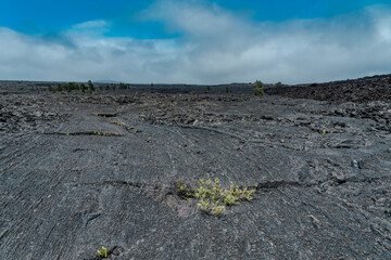 Pāhoehoe lava with ʻAʻā lava. Mauna Ulu Lookout. Chain of Craters Rd. Hawaiʻi Volcanoes...