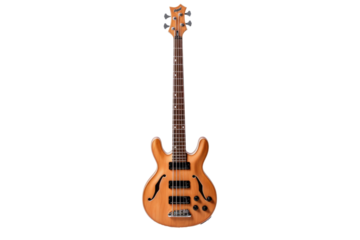 Elegant Electric Bass Guitar Isolated on Black