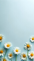 Daisy flower background. 
