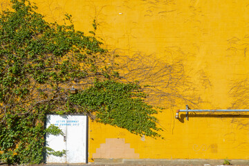 Yellow wall 