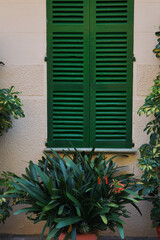 Potted greenery on the street outside the houses. A sand colored house with green shutters. Spain, Majorca.