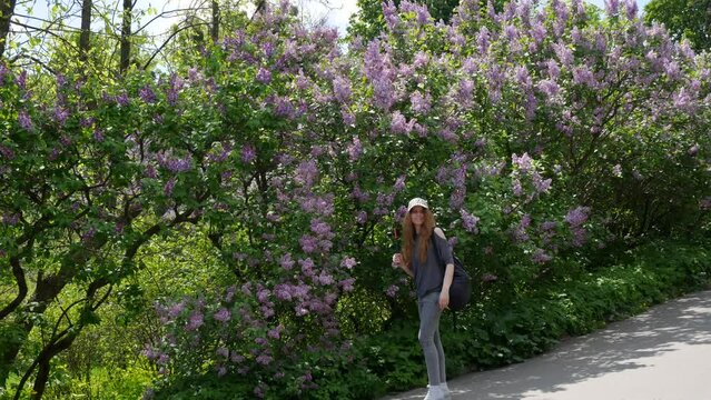 Girl walks through the botanical garden and takes a picture of a blooming lilac. A young woman in her full height is walking through a botanical garden, and she is filming a video about a blooming