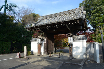 Fototapeta premium 秋の青龍殿 福徳門 京都市,山科区