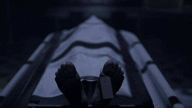 Two doctors standing in fron of a corpse in the morgue and ready to execute an autopsy