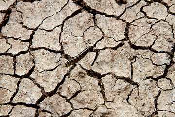 dry earth