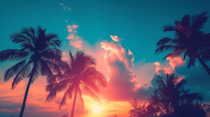 View of silhouette palm trees against blue sky during sunset - obrazy, fototapety, plakaty