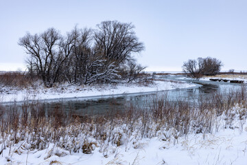 Snowy Creek and Trees on Overcast Day