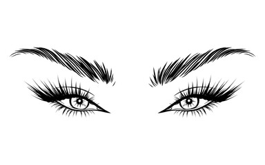 Vector Beautiful Female Eyes with Long Black Eyelashes and Brows close up. Makeup, beauty salon symbol. Woman Lashes - 743150887