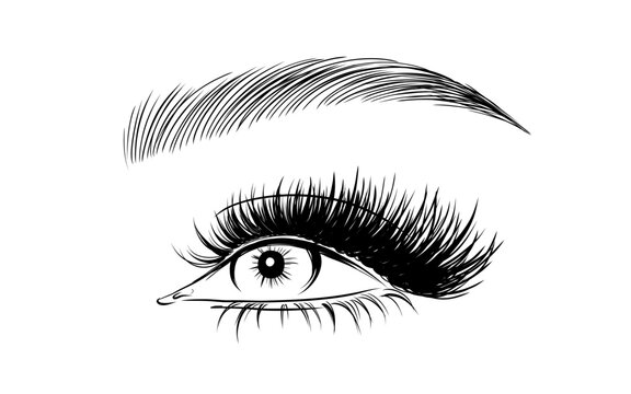 black and white eye with long eyelashes clip art preview