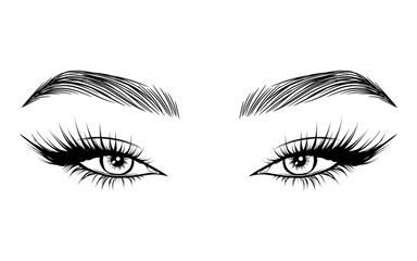 Vector Beautiful Female Eyes with Long Black Eyelashes and Brows close up. Makeup, beauty salon symbol. Woman Lashes - 743151239