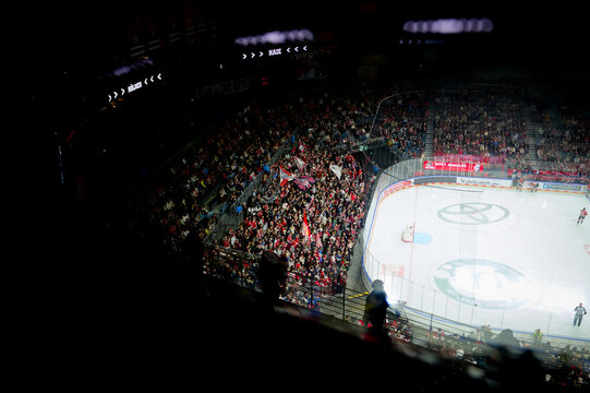 Hockey match of DEL K&ouml;lner Haie - Eisbaeren Berlin at LANXESS ARENA