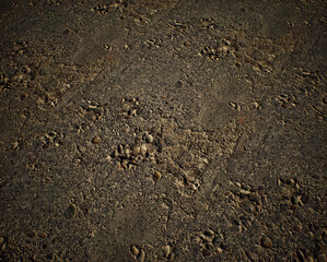 Worn out and cracked old asphalt. Detail shot. - 743155071