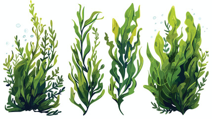 Set of seaweed plants cartoon vector illustration - obrazy, fototapety, plakaty