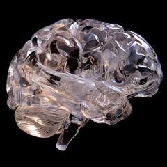 人体：ボヘミアングラス製の脳