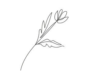 Continuous one line drawing of flower with leaves. Line art. Concept of nature, ecology, organic shapes. White backdrop. Design element for print, postcard, scrapbooking, coloring book.