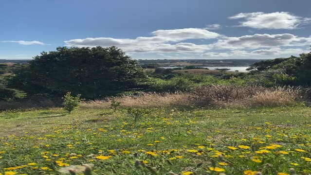Tranquilidad al Atardecer: Vista desde las Alturas al R&iacute;o Pudeto en Ancud, Chilo&eacute;