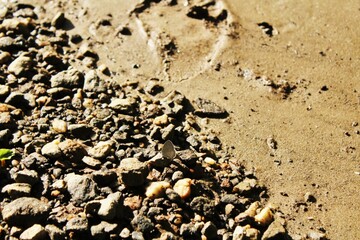 footprint in sand