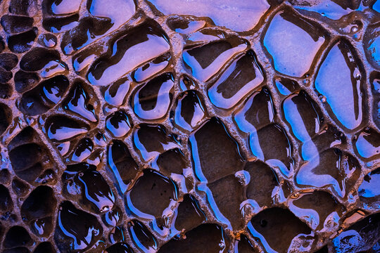 Iron-rich biofilm bacteria on textured rocks at llumeres beach