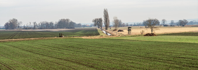 Felder in den Rheinauen in Hessen - 743188687