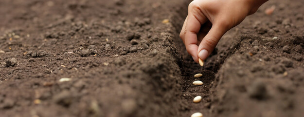 A hand sows seeds in a soil furrow. The act of planting is an investment in the future, where the seeds symbolize potential growth and development. Earth day background.