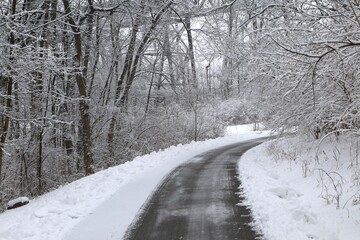 Plowed pathway on a snow covered rural scene