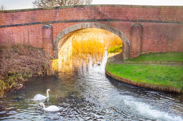 Pocklington Canal in Winter - East Yorkshire UK 2015