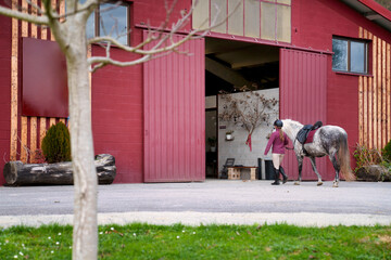 A young woman in riding gear leads a dappled white horse towards the open doors of a red stable...
