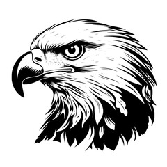 american bald eagle svg vector