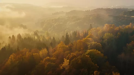 Tuinposter Aerial view of deciduous European forest in autumn Tisa Czech Republic : Generative AI © Generative AI