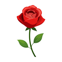 beautiful rose flower icon vector illustration design graphic flat style