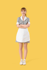 Young chambermaid on yellow background