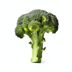a fresh broccoli vegetable, studio light , isolated on white background