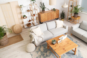 Stylish interior of comfortable living room with sofas, houseplants, chest drawer, shelving units and table with laptop