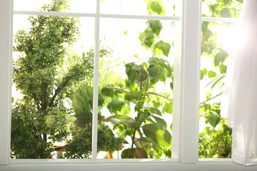 Beautiful view through window on garden in morning